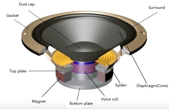 Exploded view of a speaker with all key components (voice coil, diaphragm, magnet, suspension) clearly labeled.