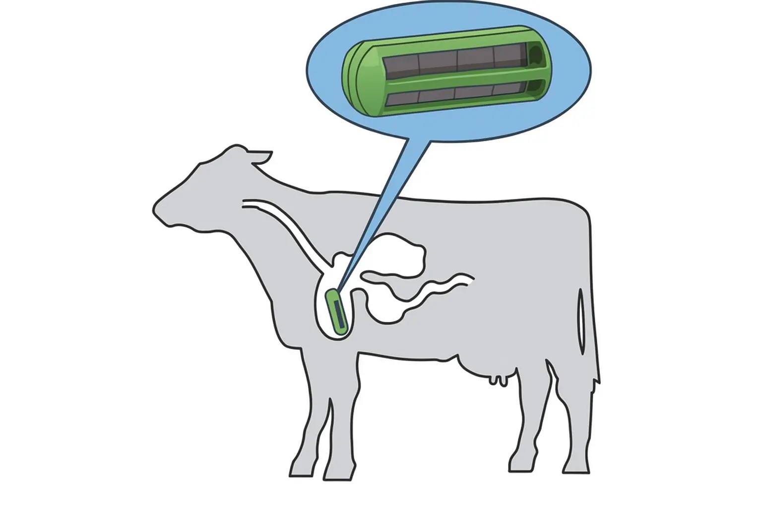Why AlNiCo Cow Magnets Are the Superior Choice for Protecting Your Herd