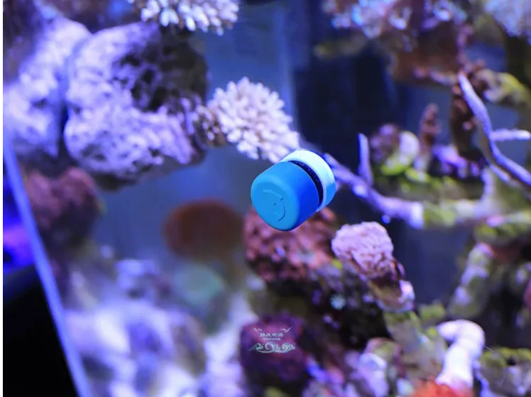 Neodymium magnets in aquarium setup for cleaning and mounting